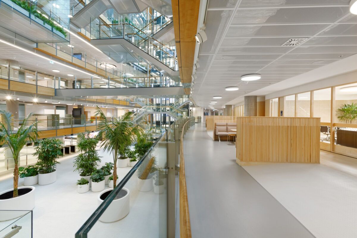 Design Build Run Shape Design & Build Construction Company in Australia | SHAPE